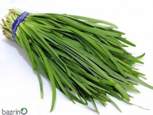 بذر تره محلی