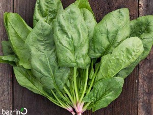 بذر اسفناج F1