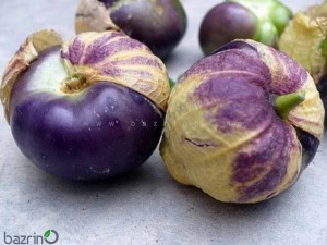 بذر فیسالیس بنفش