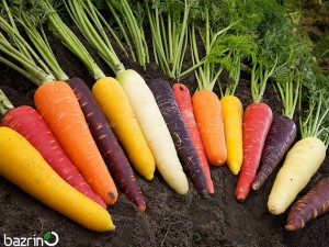 بذر هویج میکس