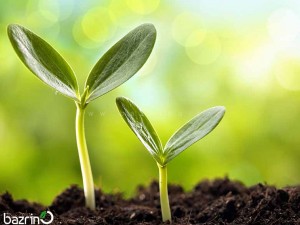 کود کامل رشد