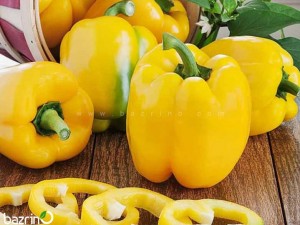 بذر فلفل دلمه ای زرد