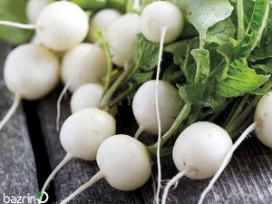 بذر ترب سفید گرد