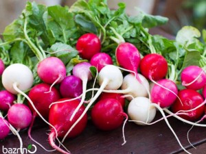 بذر تربچه میکس