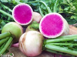 بذر تربچه هندوانه ای