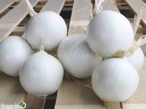 بذر پیاز سفید