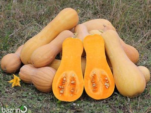 بذر کدو حلوایی نارنجی