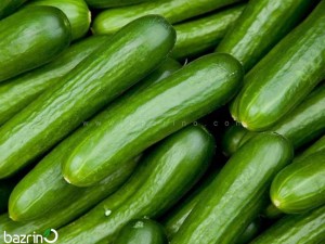 بذر خیار سبز F1
