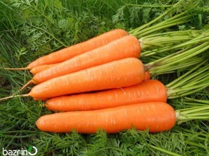 بذر هویج نانتس