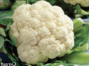 بذر گل کلم سفید زودرس F1