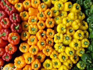 بذر فلفل دلمه ای میکس