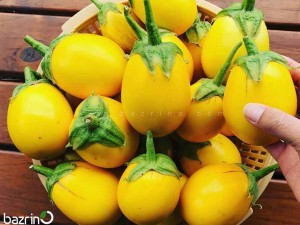بذر بادمجان دلمه ای زرد