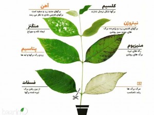 کود ریز مغذی گیاهان