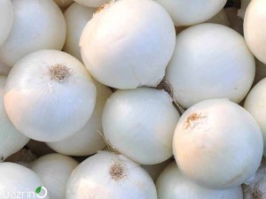 بذر پیاز سفید روز کوتاه