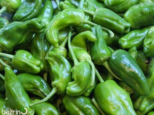 بذر فلفل سبز همدانی