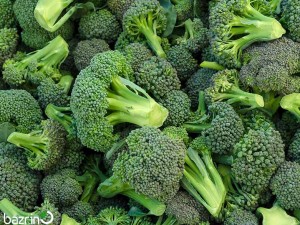 بذر کلم بروکلی آسیا F1