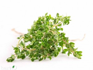 بذر آویشن باغی(ولگار)