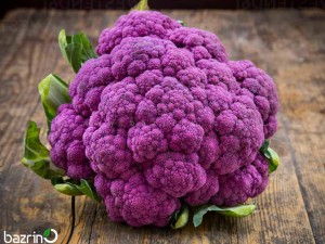 بذر گل کلم بنفش سینجنتا F1