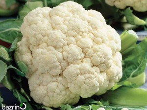 بذر گل کلم سفید