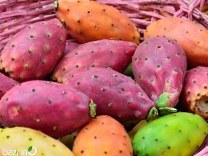 بذر اپونتیا میکس