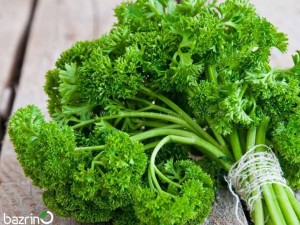 بذر جعفری فر F1