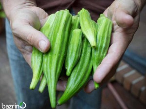 بذر بامیه سبز(100 گرمی)