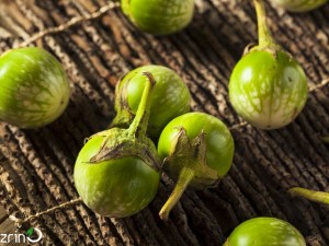 بذر بیبی بادمجان سبز