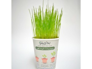 پک آماده کاشت چمن