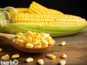 بذر ذرت شیرین
