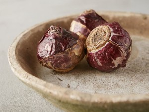 پیاز گل سنبل هلندی 100 عددی