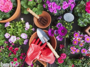 پکیج بذر گل های بهاره