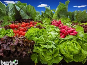 پکیج بذر سبزیجات پاییزه(مناطق گرمسیری)