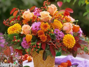 پکیج بذر گل های پاییزه(مناطق سردسیری)