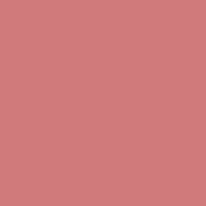 خط لب SO LIPPY -TRUE FAITHشیگلم SHEGLAM