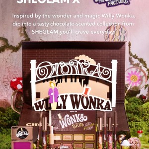 رژگونه WILLY WONKA VIOLET FLUSH BLUSH شیگلم SHEGLAM