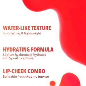 تینت لب و گونه ‏FOR THE FLUSH  رنگ ‏‏ FRUIT PUNCH شیگلم SHEGLAM