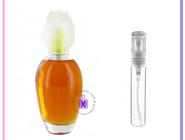 عطر گرمی کلوهه نارسیس