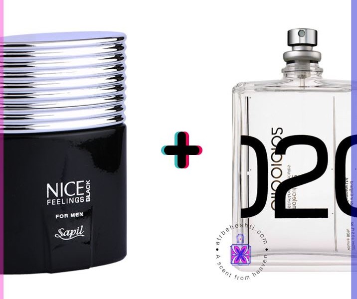 عطر ترکیبی نایس بلک و مولکول