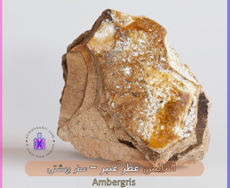 اسانس عطر عنبر