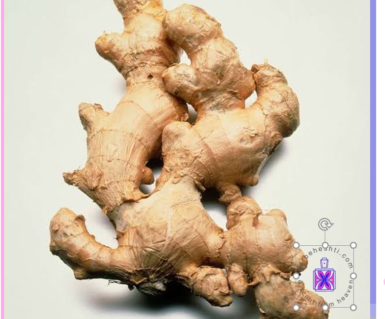 اسانس زنجبیل