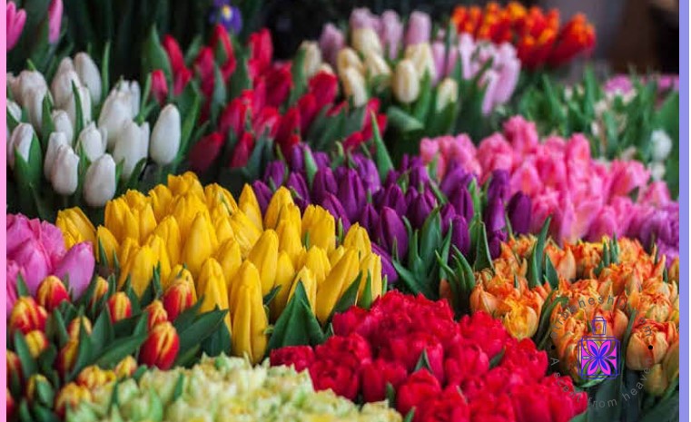 اسانس گل های بهاری