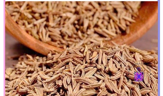 اسانس زیره سبز