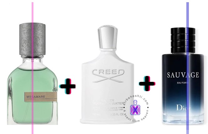 عطر ترکیبی سیلور مانتین واتر + ساواج + مگاماره