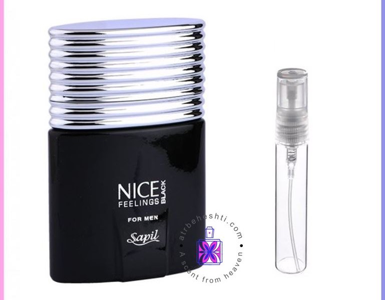 عطر گرمی نایس بلک