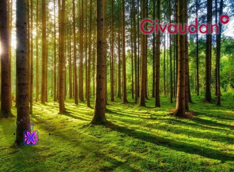 عطر وردانت وود کالکشن ژیوادان