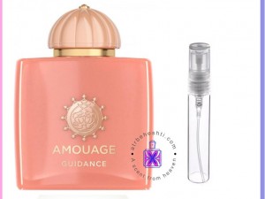 عطر آماج گایدنس