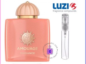 عطر آماج گایدنس لوزی top