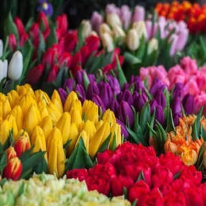 اسانس گل های بهاری