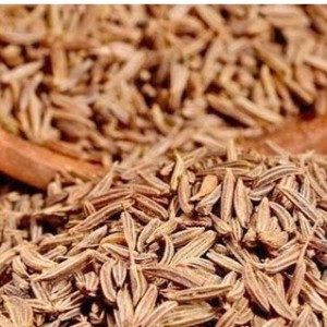 اسانس زیره سبز
