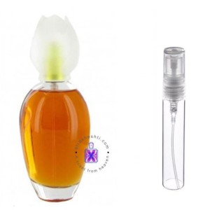 عطر گرمی کلوهه نارسیس